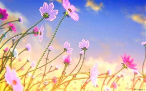 100 Anime Flower Wallpapers Wallpapers Com 100 Anime Flower Wallpapers Wallpapers Com