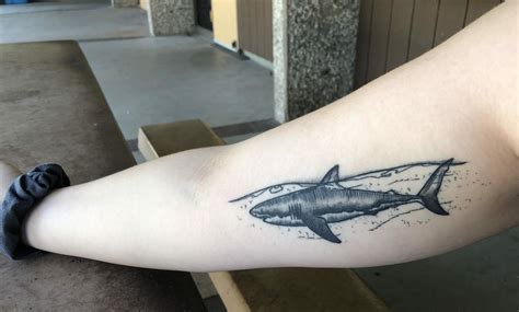 101 Amazing Shark Tattoo Ideas That Will Blow Your Mind 101 Amazing Shark Tattoo Ideas That Will Blow Your Mind