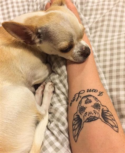 15 Trendy Tattoo Ideas Chihuahua Owners Will Love The Paws 15 Trendy Tattoo Ideas Chihuahua Owners Will Love The Paws