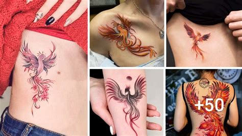 29 Tatuajes Del Ave F Nix Con Significado Para Mujeres Y Hombres 29 Tatuajes Del Ave F Nix Con Significado Para Mujeres Y Hombres