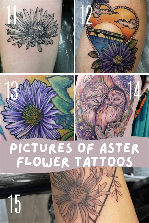 37 Bold Aster Flower Tattoo Designs Ideas Tattoo Glee 37 Bold Aster Flower Tattoo Designs Ideas Tattoo Glee