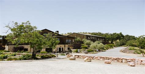 Adelaide Vineyards: Wine Tasting Secrets Unveiled