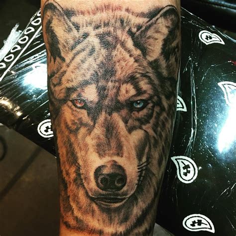 Andrew Drumm Excuse The Glare A Cool Wolf Tattoo To Start This Andrew Drumm Excuse The Glare A Cool Wolf Tattoo To Start This