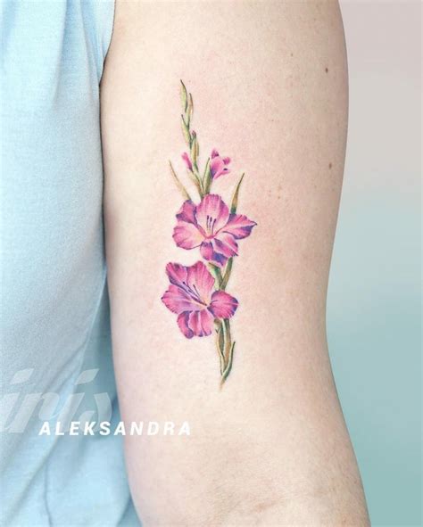 August Birth Flower Gladiolus Tattoo At Ronald Stinson Blog August Birth Flower Gladiolus Tattoo At Ronald Stinson Blog