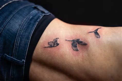 Bird Tattoo Meaning Unraveling Symbolism And Personal Connections Bird Tattoo Meaning Unraveling Symbolism And Personal Connections