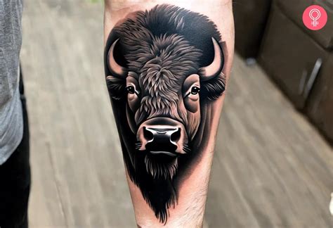 Bison Tattoo