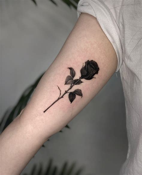 Black Rose Tattoos Tattoos Tattoo Designs Black Rose Tattoos Tattoos Tattoo Designs