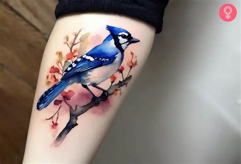 Blue Jay Bird Tattoo Watercolor Tattoo Design