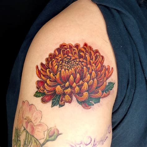 Chrysanthemum Tattoo With The Word Amp 39 November Amp 39 Chrysanthemum Tattoo With The Word Amp 39 November Amp 39