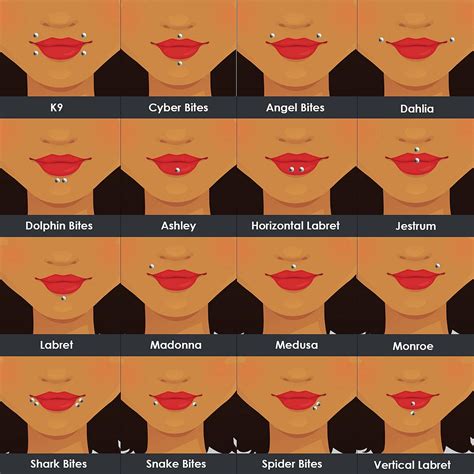 Different Types Of Lip Piercings Your Complete Guide Lip Piercing Different Types Of Lip Piercings Your Complete Guide Lip Piercing