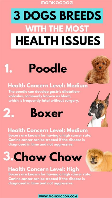 Dogs With Least Health Issues