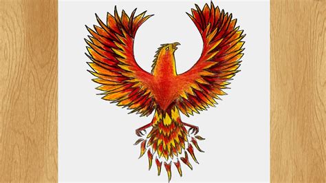 Drawing Of A Phoenix Bird Drawing Tips Guide Drawing Of A Phoenix Bird Drawing Tips Guide