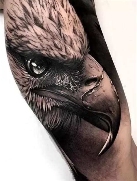 Eagle Head Tattoo Eagle Head Tattoo