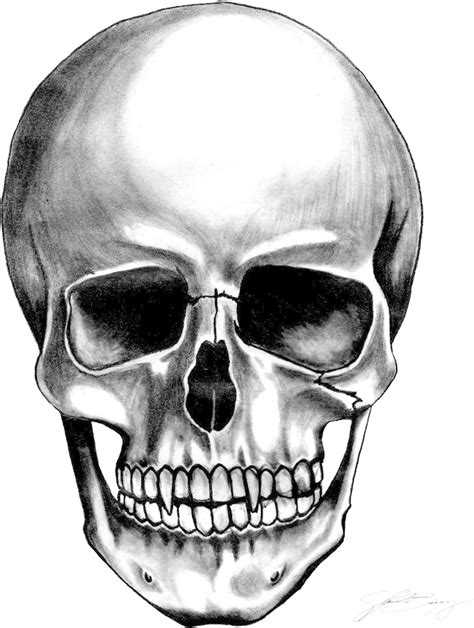 Free Skull Drawing Png Images With Transparent Backgrounds Fastpng Com Free Skull Drawing Png Images With Transparent Backgrounds Fastpng Com