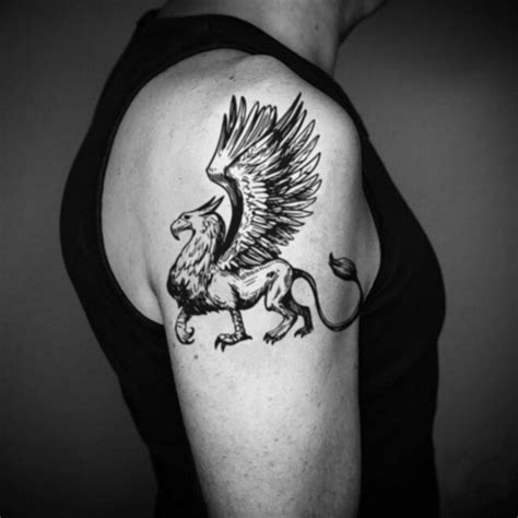 Griffin Gryphon Temporary Tattoo Sticker Ohmytat Griffin Gryphon Temporary Tattoo Sticker Ohmytat