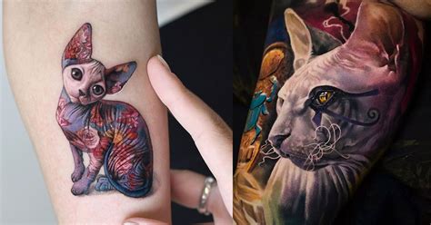 Hairless Cat With Tattoos