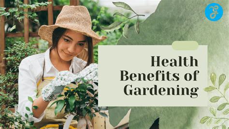 Health Garden