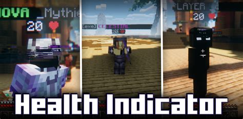 Health Indicator Mod Miunecraft Toro