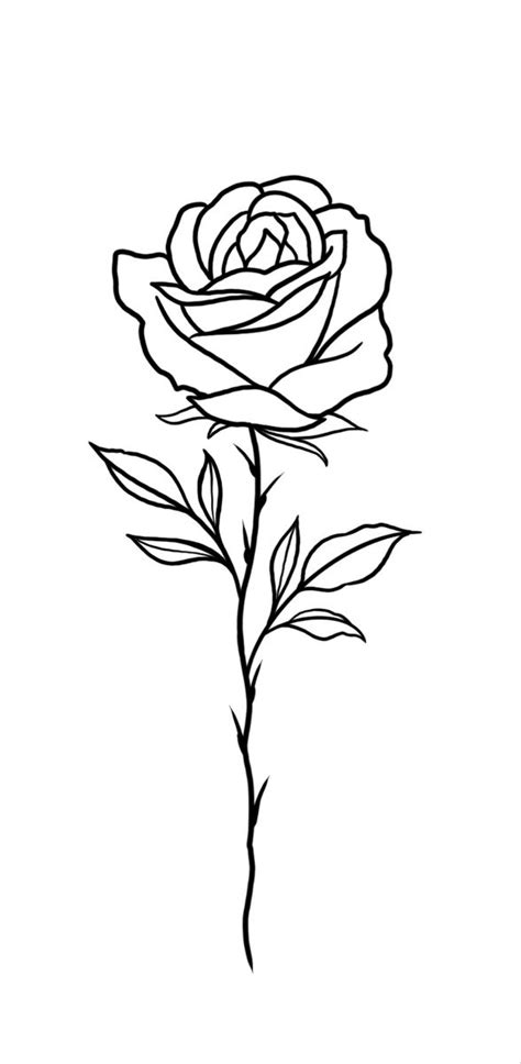 How To Tattoo A Rose For Beginners Free Stencil How To Tattoo A Rose For Beginners Free Stencil