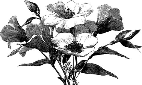 Intricate Engraved Bouquet Of Wildflowers For Nature Inspired Designs