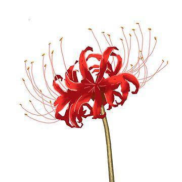 Japanese Flower Of Death Japanese Higanbana Anime Death Flower Japanese Flower Of Death Japanese Higanbana Anime Death Flower