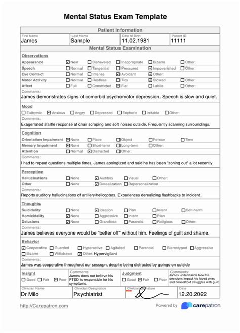 Mental Health Status Exam Template