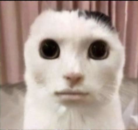 Michael Fletcher Adl Kullan C N N Tattoo Art Drawings Panosundaki Pin