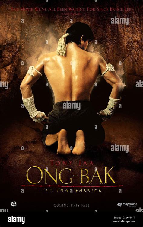 Ong Bak Wallpapers And Images Wallpapers Pictures Photos Ong Bak Wallpapers And Images Wallpapers Pictures Photos
