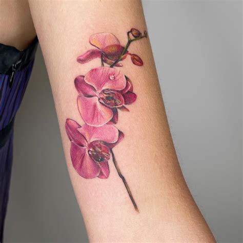 Orchid Flower Tattoo Designs Best Flower Site Orchid Flower Tattoo Designs Best Flower Site
