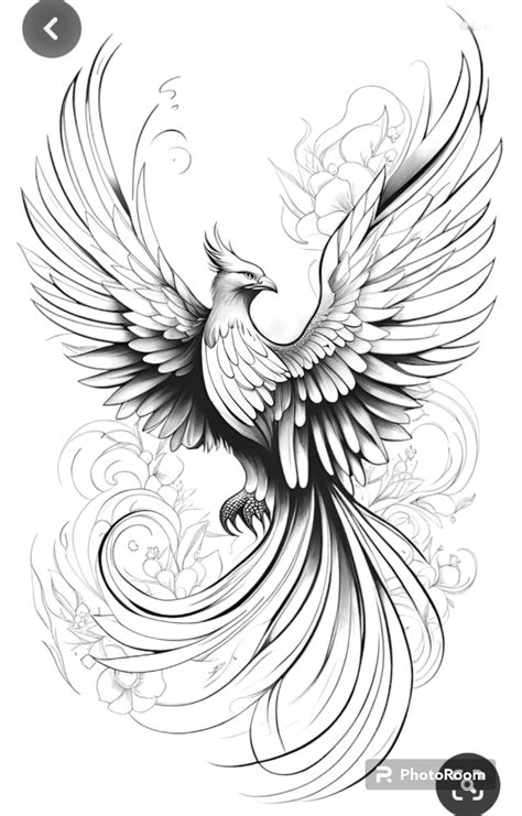 Pin By Tatiana S On Client Phoenix Tattoo Phoenix Tattoo Design Pin By Tatiana S On Client Phoenix Tattoo Phoenix Tattoo Design