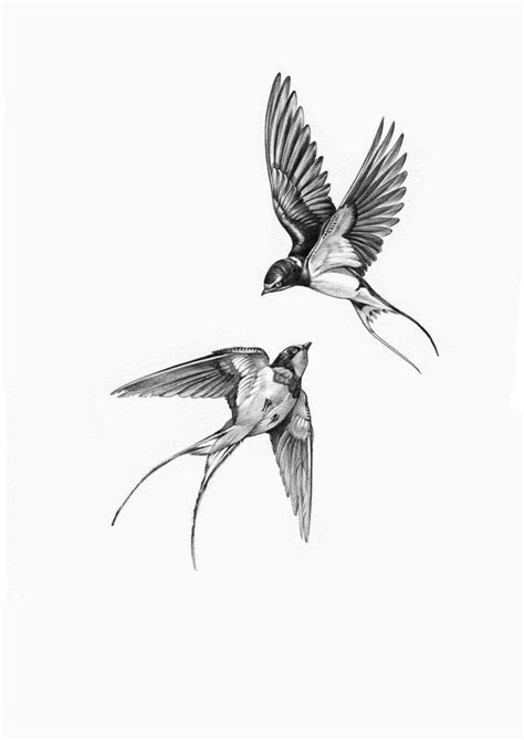 Pin On My Saves Sparrow Tattoo Design Swallow Tattoo Design Swallow Tattoo