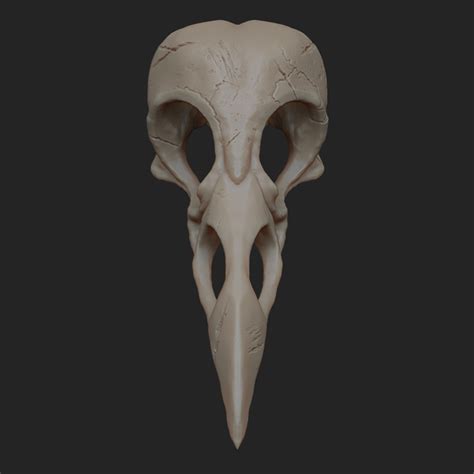 Raven Skull Front View Raven Skull Front View