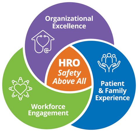 Safety Organizations Healthcare Inforatmics