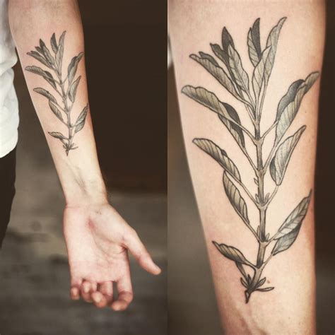 Sage Tattoo Ideas At Charles Blalock Blog Sage Tattoo Ideas At Charles Blalock Blog