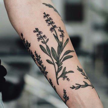 Sage Tattoo Meaning Style And Ideas For Tattoos Vean Tattoo Sage Tattoo Meaning Style And Ideas For Tattoos Vean Tattoo