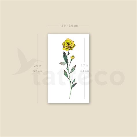 Small Yellow Rose By Lena Fedchenko Temporary Tattoo Set Of 3 Tatteco