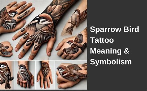 Sparrow Bird Tattoo Meaning And Symbolism Beauty Inspo Sparrow Bird Tattoo Meaning And Symbolism Beauty Inspo