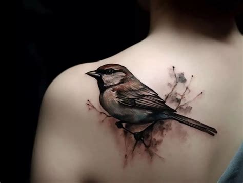 Sparrow Bird Tattoo Meaning Symbolism And Inspirations Astylish Fashion Sparrow Bird Tattoo Meaning Symbolism And Inspirations Astylish Fashion