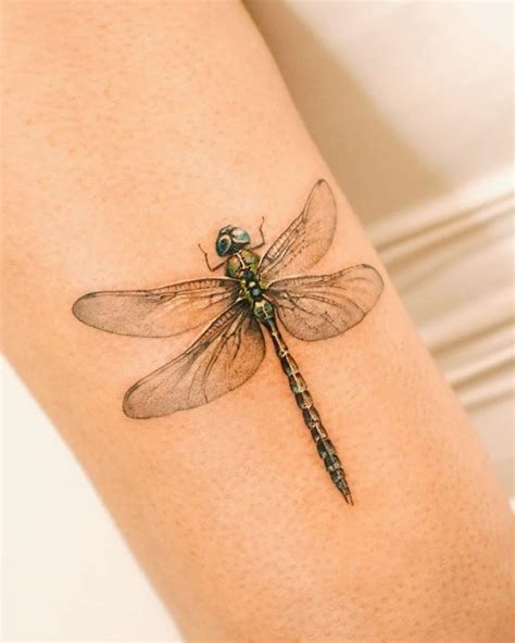Spiritual Dragonfly Tattoo Bronctattooaus Com