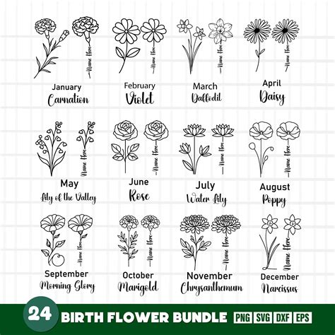 Svg Png Etsy Birth Flower Svg Png Etsy Birth Flower