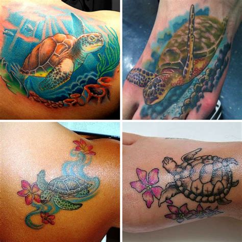 Tartaruga Maya Tattoos