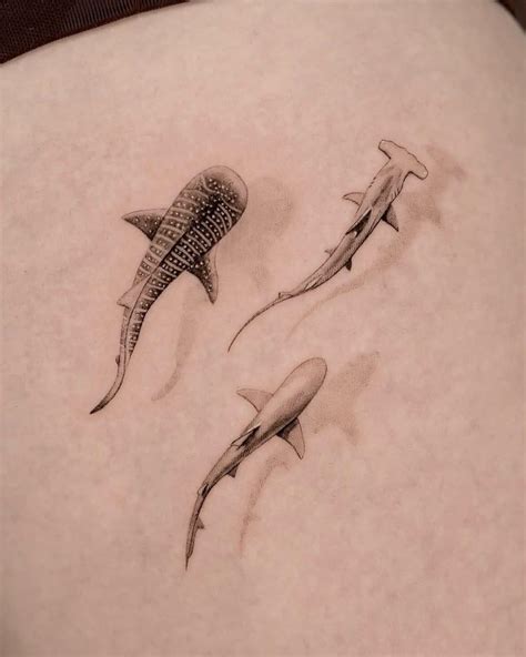 Tattoo Designs Shark