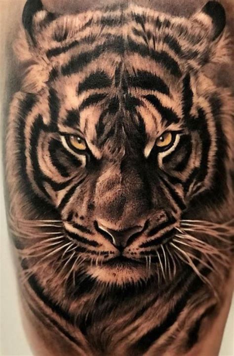 Tiger Face Tattoo Design Tattoos Designs