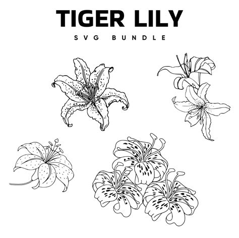 Tiger Lily Tattoo Photos Download Free High Quality Pictures Freepik Tiger Lily Tattoo Photos Download Free High Quality Pictures Freepik