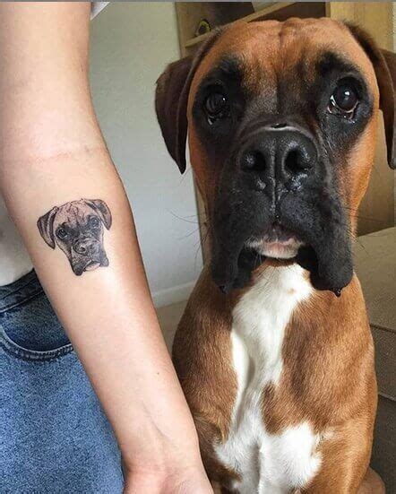 Top 45 Best Boxer Dog Tattoo Ideas And Designs The Dogman Top 45 Best Boxer Dog Tattoo Ideas And Designs The Dogman