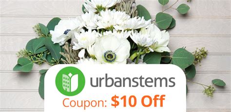 Best UrbanStems Promo Code Now Available!