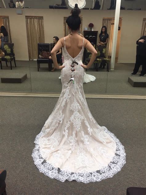 Venturas Bridal Houston: Top Wedding Dress Secrets Revealed