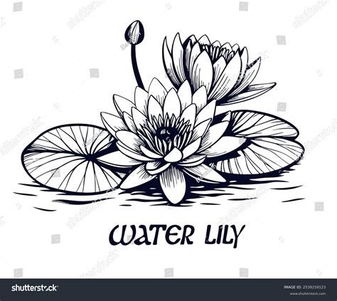 Vibrant Water Lily Tattoo Flash Set By Imagella On Deviantart Vibrant Water Lily Tattoo Flash Set By Imagella On Deviantart
