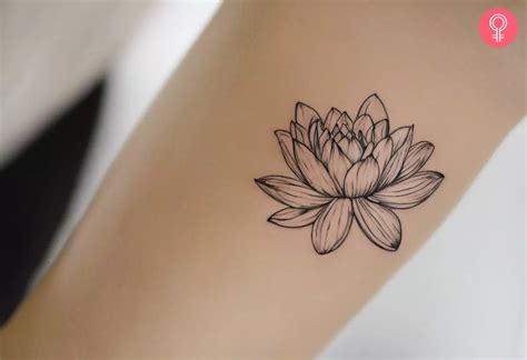 Water Lily Tattoo Design
