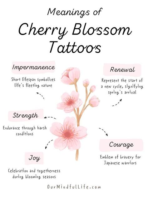 What Is Cherry Blossom Tattoo Meaning Symbolism Explained What Is Cherry Blossom Tattoo Meaning Symbolism Explained